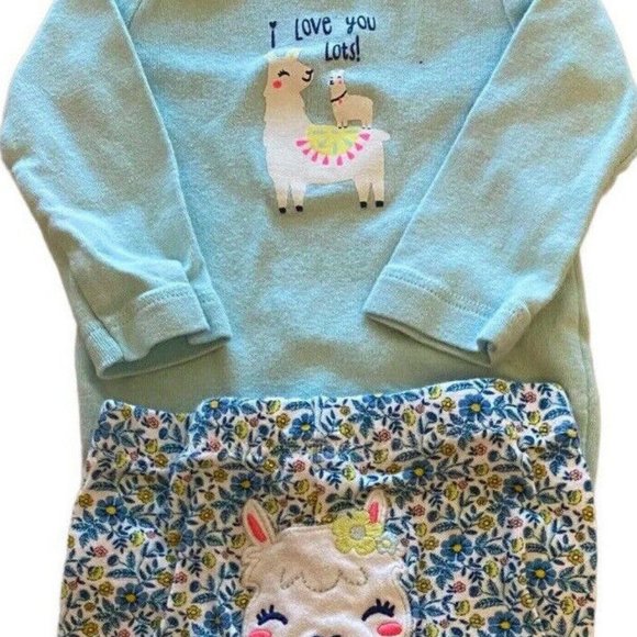 Carters 3 Months Baby Outfit 2 pc Set Pants Shirt Top Llama Floral Teal Blue - Picture 2 of 4